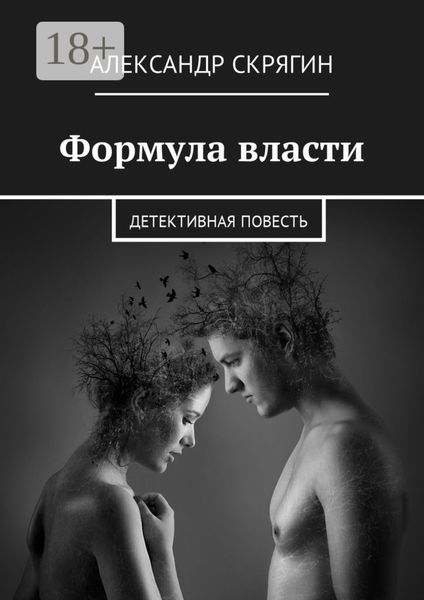 Обложка книги  «Формула власти. Детективная повесть»