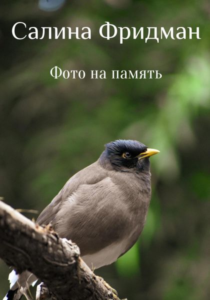 Обложка книги  «Фото на память»