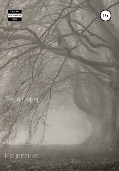 Обложка книги  «Исцеление»