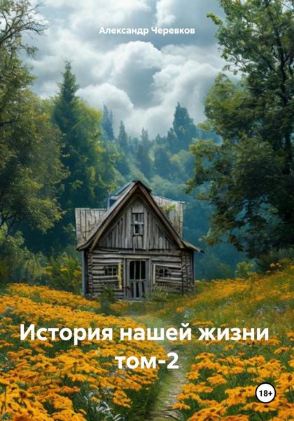 Обложка книги  «История нашей жизни том-2»