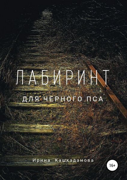 Обложка книги  «Лабиринт для черного пса»