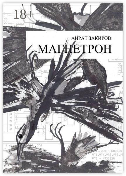 Обложка книги  «Магнетрон»
