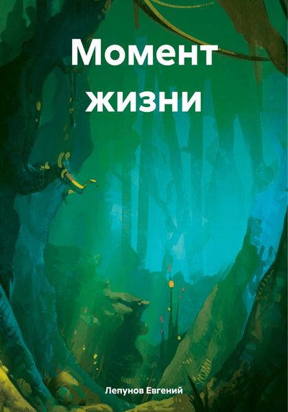 Обложка книги  «Момент жизни»