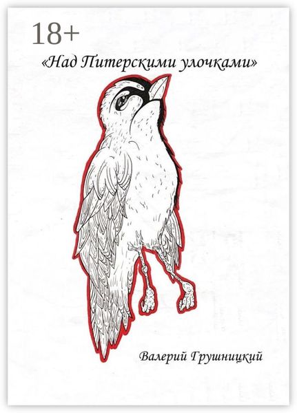 Обложка книги  «Над питерскими улочками»
