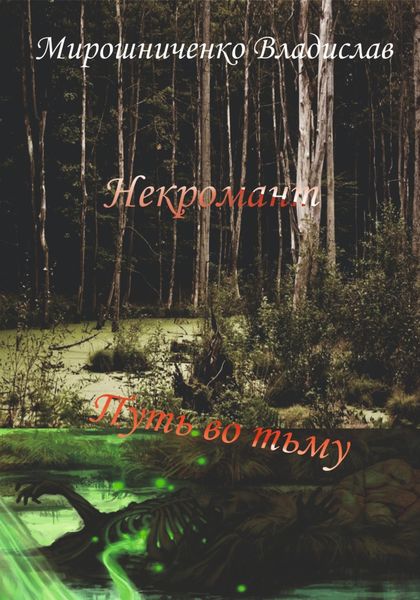 Обложка книги  «Некромант. Путь во тьму»