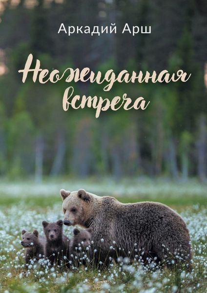 Обложка книги  «Неожиданная встреча»