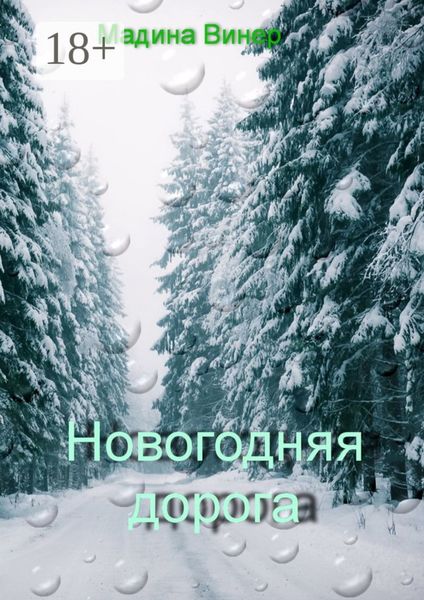 Обложка книги  «Новогодняя дорога»
