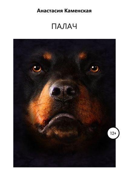 Обложка книги  «Палач»