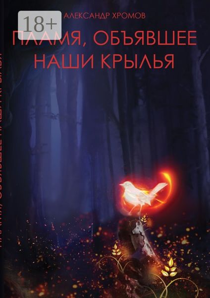 Обложка книги «Пламя, объявшее наши крылья»