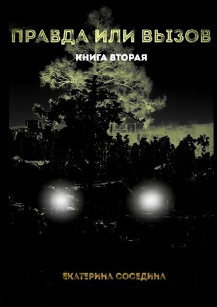 Обложка книги  «Правда или Вызов. Книга вторая»