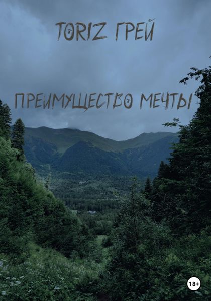 Обложка книги  «Преимущество мечты»