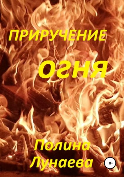 Обложка книги  «Приручение огня»
