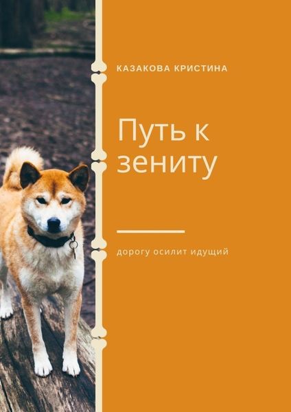 Обложка книги  «Путь к зениту»