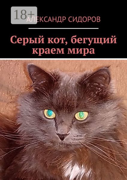 Обложка книги  «Серый кот, бегущий краем мира»