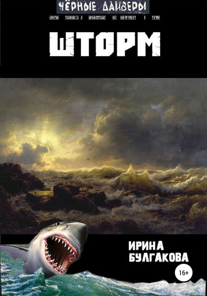 Обложка книги  «Шторм»