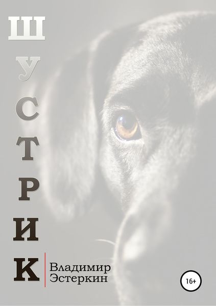 Обложка книги  «Шустрик»