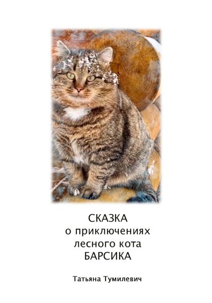 Обложка книги  «Сказка о приключениях лесного кота Барсика»