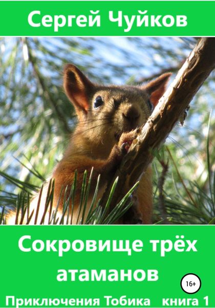 Обложка книги  «Сокровище трёх атаманов»