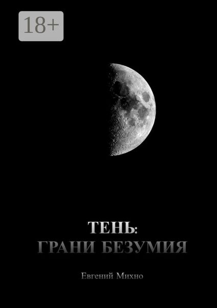 Обложка книги  «Тень: Грани безумия»
