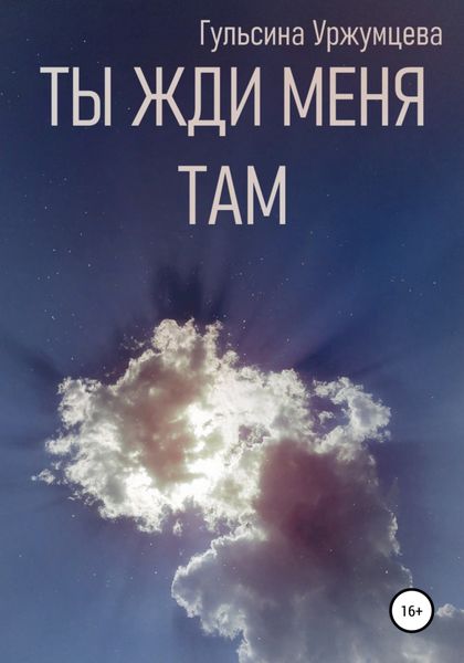 Обложка книги  «Ты жди меня там»