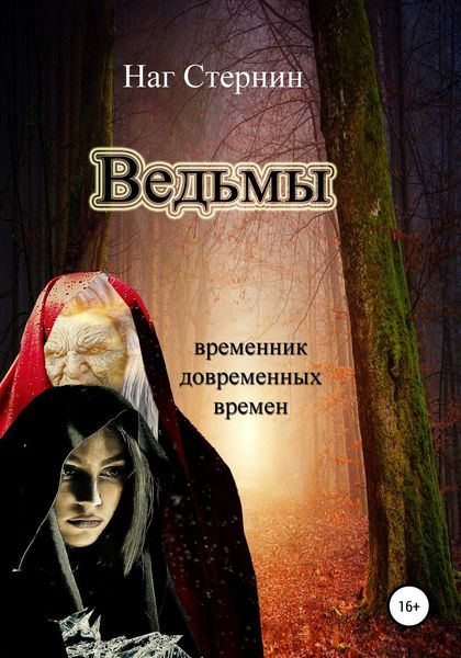 Обложка книги  «Ведьмы»