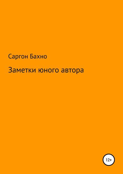 Обложка книги  «Заметки юного автора»