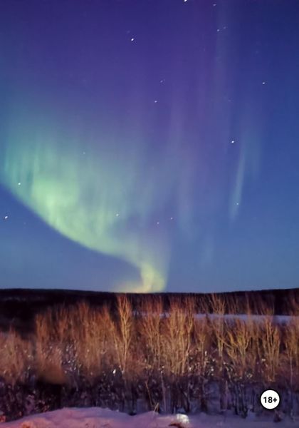 Обложка книги  «Земля после апокалипсиса»