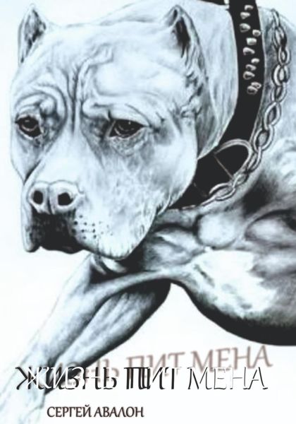 Обложка книги  «Жизнь Пит мена»