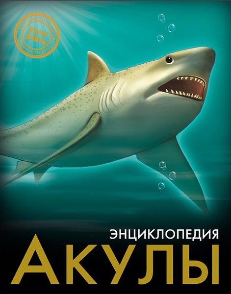Обложка книги  «Акулы»