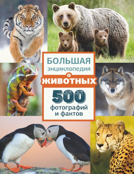Обложка книги  «Большая энциклопедия о животных. 500 фотографий и фактов»