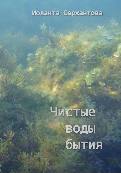 Обложка книги  «Чистые воды бытия»