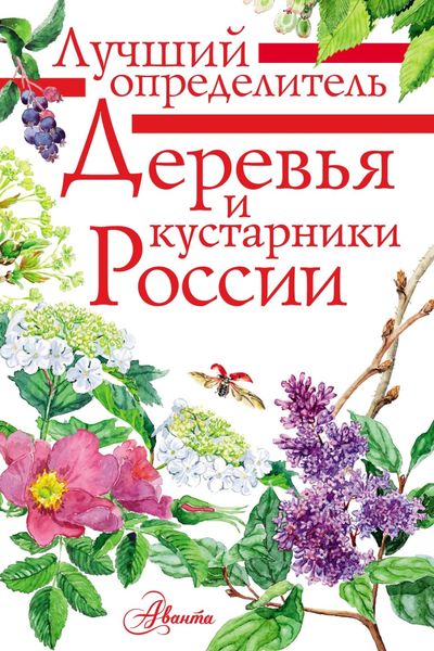 Обложка книги  «Деревья и кустарники России. Определитель»