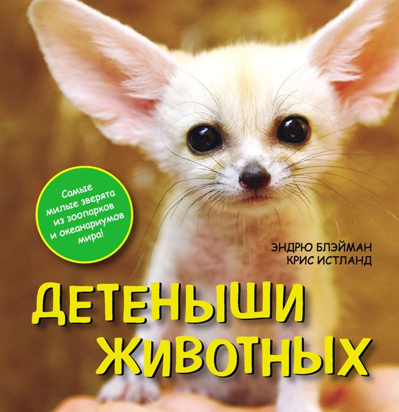 Обложка книги  «Детеныши животных»