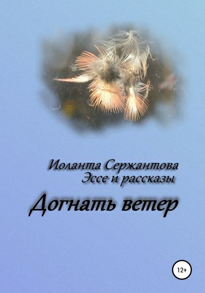 Обложка книги  «Догнать ветер»