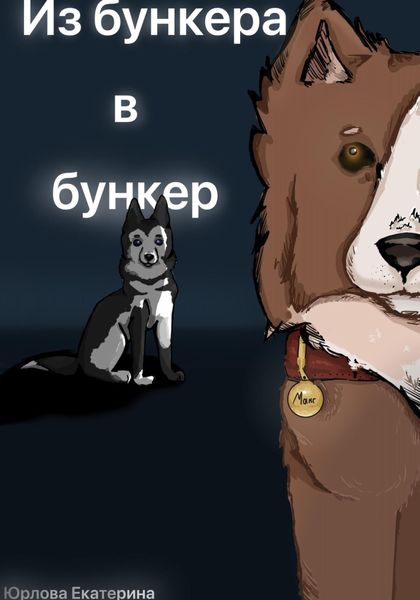 Обложка книги  «Из бункера в бункер»