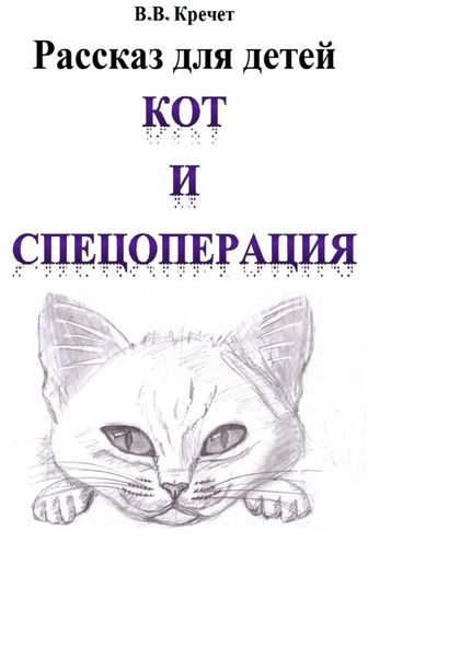 Обложка книги  «Кот и спецоперация»