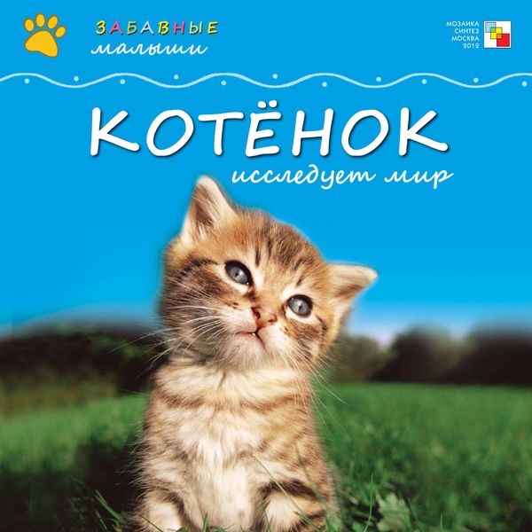 Обложка книги  «Котёнок исследует мир»