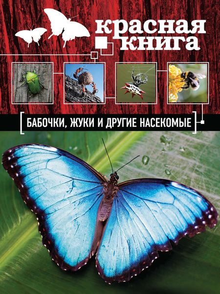 Обложка книги  «Красная книга. Бабочки, жуки и другие насекомые»