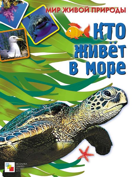 Обложка книги  «Кто живет в море»
