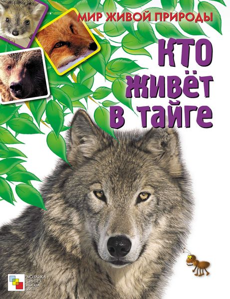 Обложка книги  «Кто живет в тайге»