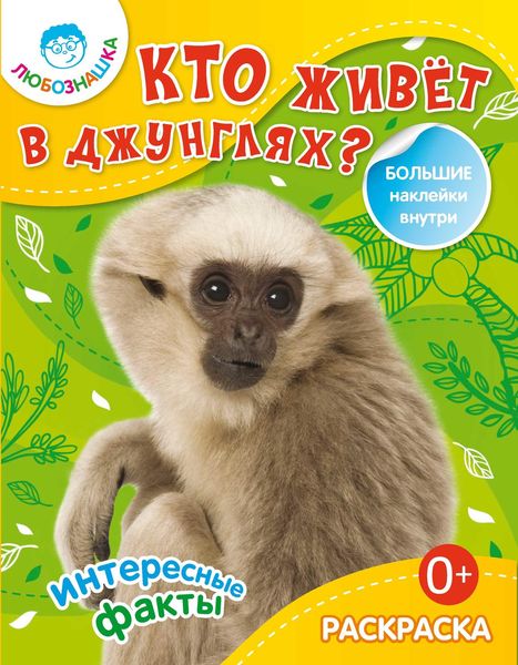 Обложка книги  «Кто живёт в джунглях? Интересные факты»