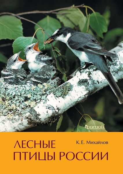 Обложка книги  «Лесные птицы России»