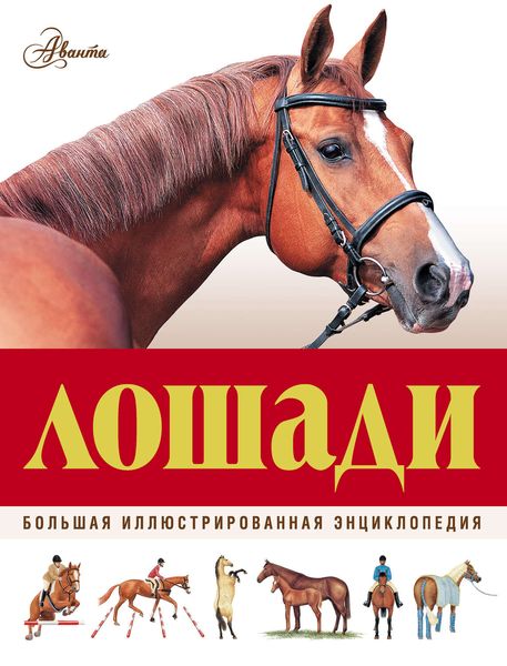 Обложка книги  «Лошади. Большая иллюстрированная энциклопедия»