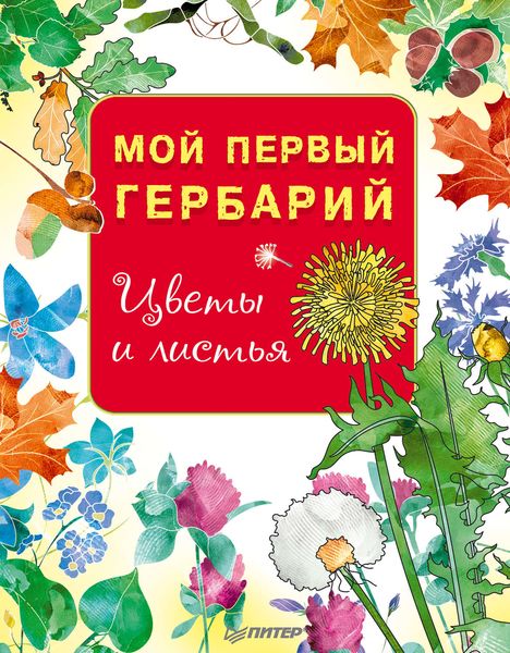 Обложка книги «Мой первый гербарий. Цветы и листья»