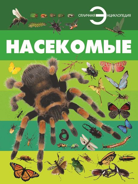 Обложка книги  «Насекомые»