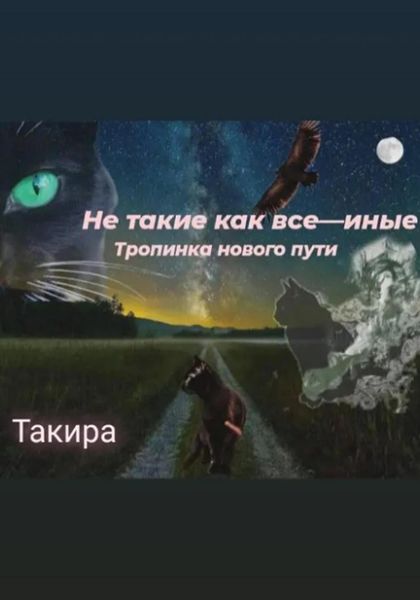 Обложка книги  «Не такие, как все – иные. Тропинка нового пути»