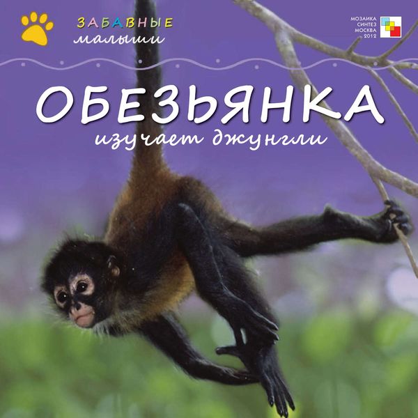 Обложка книги  «Обезьянка изучает джунгли»