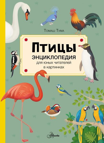 Обложка книги  «Птицы»