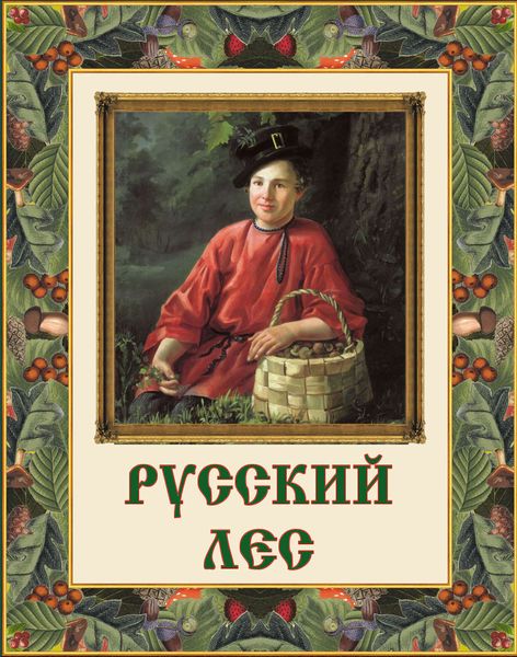 Обложка книги «Русский лес. Грибы и ягоды»