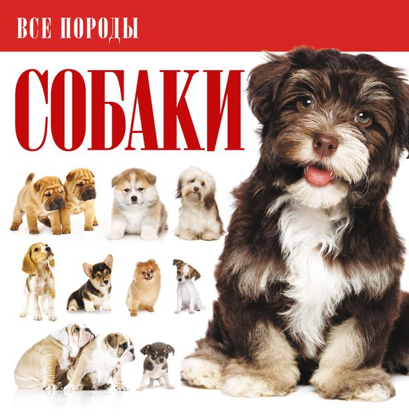 Обложка книги  «Собаки»